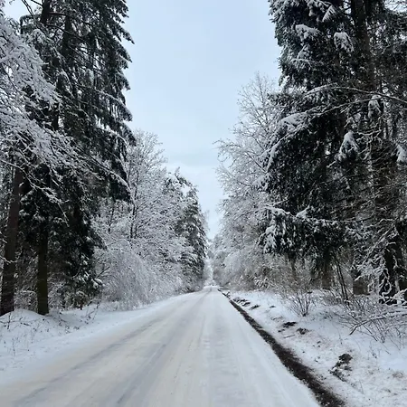 Przytulisko Na Mazurach