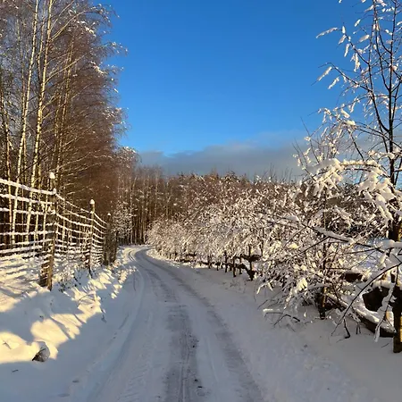 Przytulisko Na Mazurach